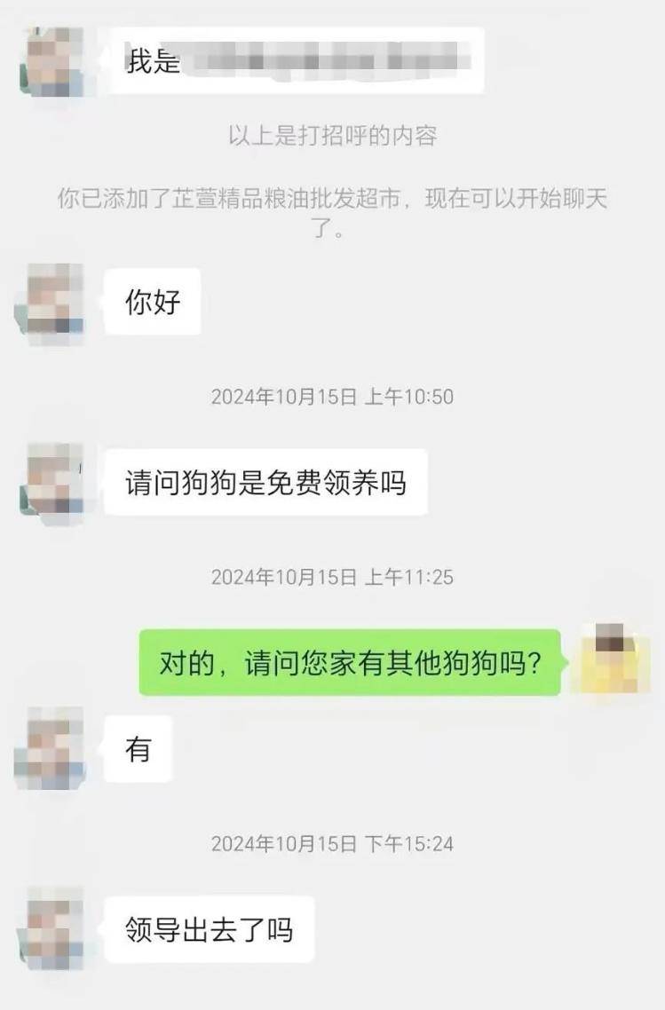 沈阳一店铺老板假借领养名义烹食流浪狗，警方：正在研讨处置