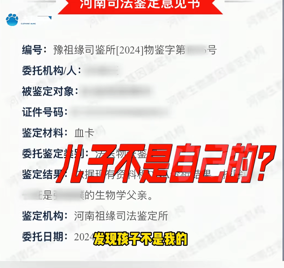 "天塌了,我一生都毁了", 男子称养了20年才发现儿子非亲生!前妻坚决否认