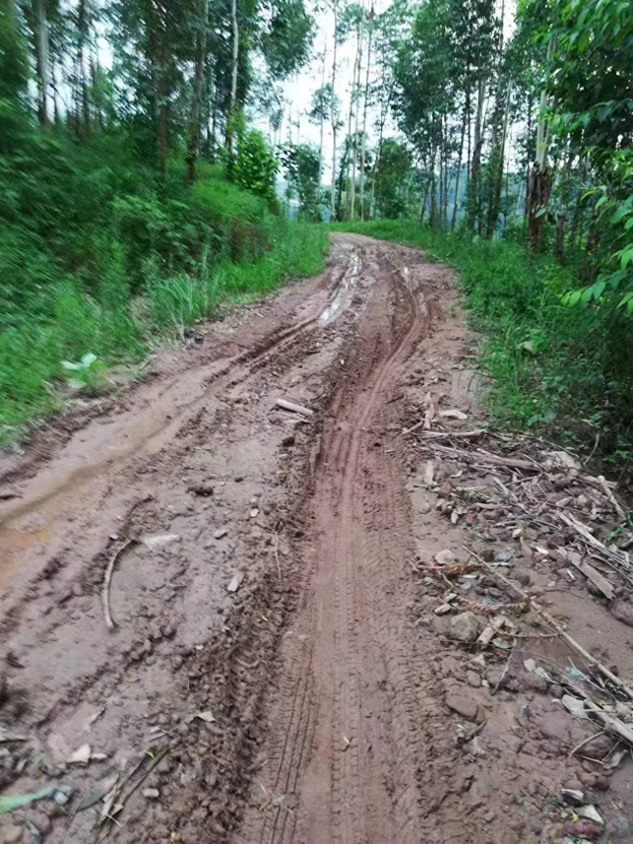 村民众筹30万元欲硬化通村路,10年间10人去世都未等来动工,街道办称尚在争取上级补助资金