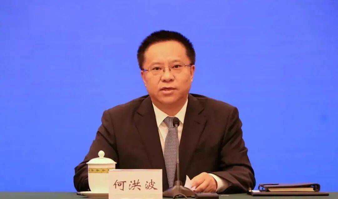 市委副书记何洪波,转岗副厅长3个月被查