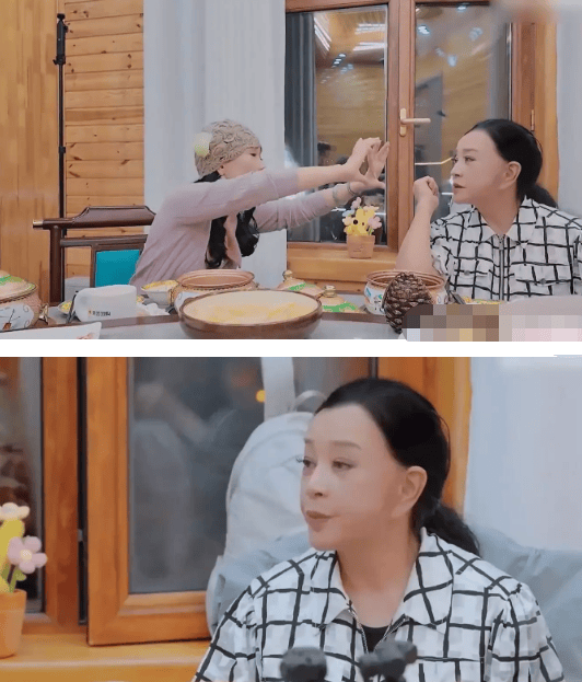 考古|何赛飞录节目把刘嘉玲刘晓庆等嘉宾得罪完,她是情商低还是真性情?