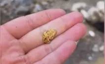 “一盆就出了5克多”!一河道多人凌晨冒严寒淘金,当地紧急回应