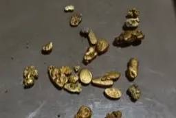 “一盆就出了5克多”!一河道多人凌晨冒严寒淘金,当地紧急回应