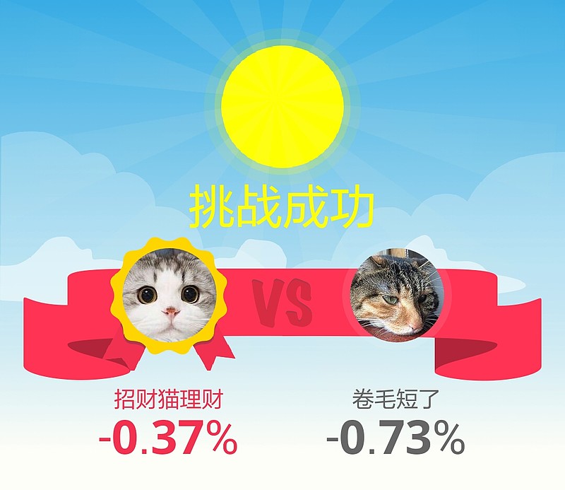 理财猫理财(理财猫app)