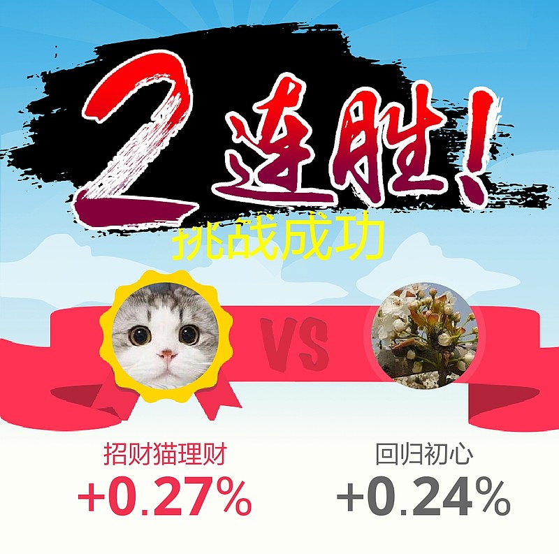 理财猫理财(理财猫app)